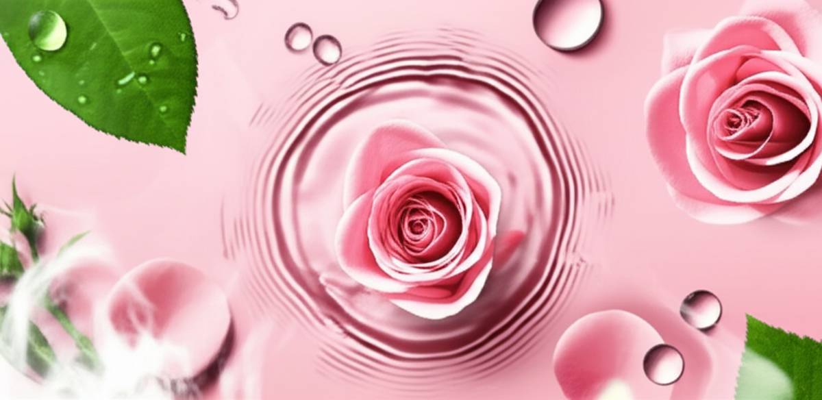 داروخانه | ژل شستشو ژل شستشوی بانوان رزا باباریا: تمام ویژگی ها