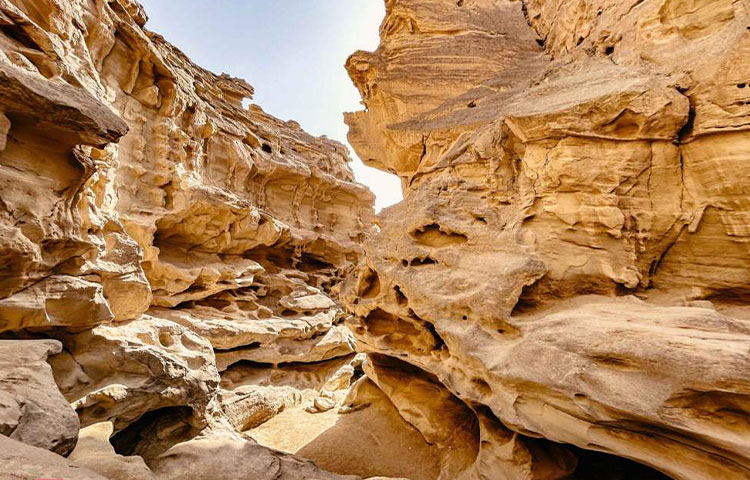 طبیعت | اسکی تنگه چاهکوه